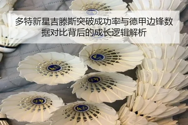多特新星吉滕斯突破成功率与德甲边锋数据对比背后的成长逻辑解析